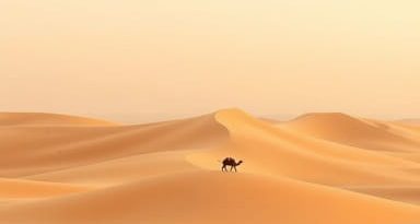 Sahara Desert In Which Country