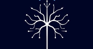 Short Term Synaptic Plasticity