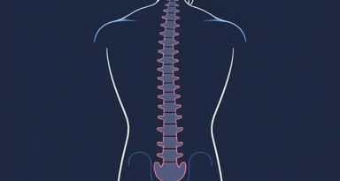 Symptoms Of Slipped Disc In Lower Back