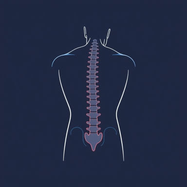 Symptoms Of Slipped Disc In Lower Back