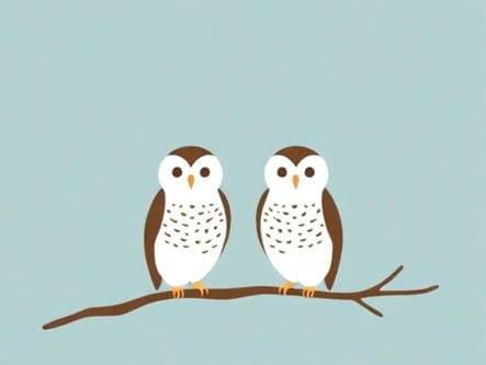 The Barn Owl'S Wondrous Capers