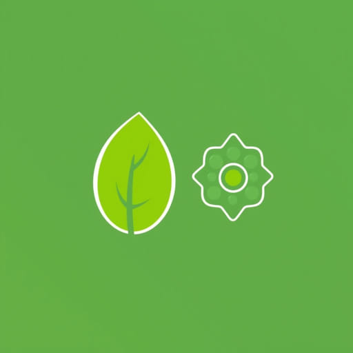 The Difference Between Chlorophyll And Chloroplast