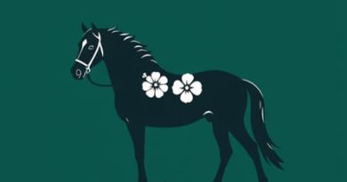 Therapeutic Horsemanship Of Hawaii