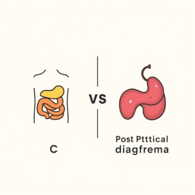 Uc Vs Ibs Postprandial Diarrhea