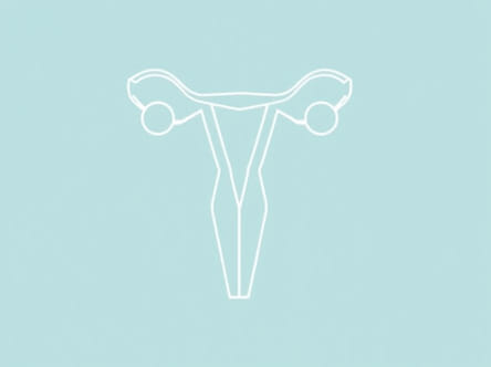 Underlying Cause Of Hypothalamic Pituitary Amenorrhea