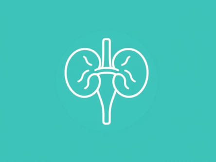 Urology Hendricks Regional Health