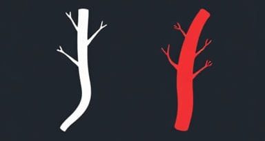 Vein Vs Artery Vs Capillary