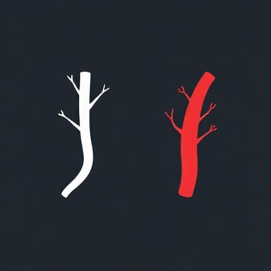 Vein Vs Artery Vs Capillary