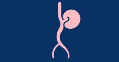 What Is Pancreatic Elastase