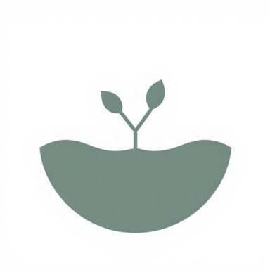 What Is The Definition Of Chloroplast