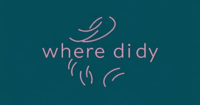 Where Did Hunky Dory Come From