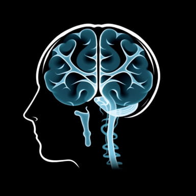 Will An X-Ray Show A Concussion