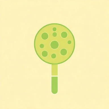 Yeast Cell In Urinalysis