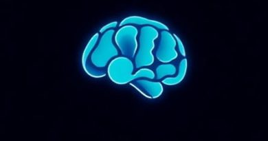 A Beautiful Mind Sub Indo