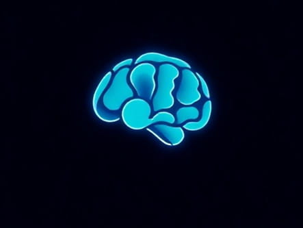 A Beautiful Mind Sub Indo