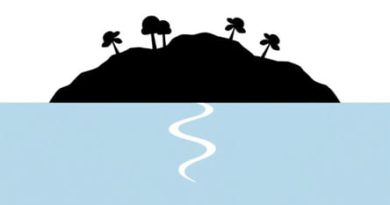 A Channelization Island Must Have