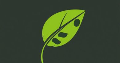 Banana Bract Mosaic Virus Bbrmv