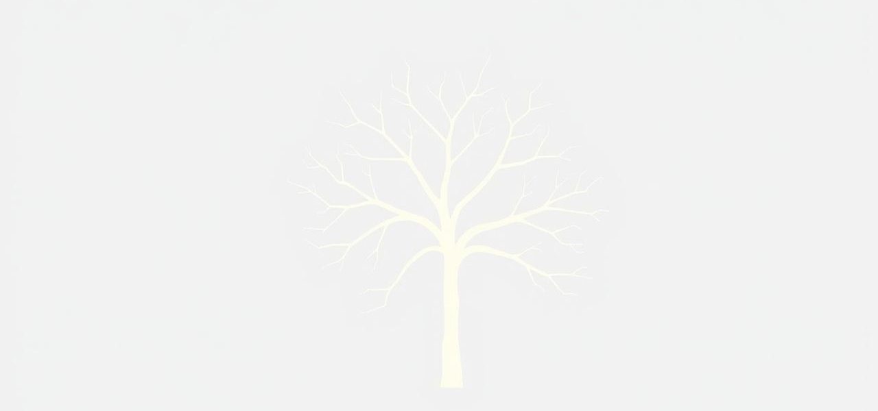 Branches Of Ulnar Nerve