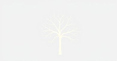 Branches Of Ulnar Nerve