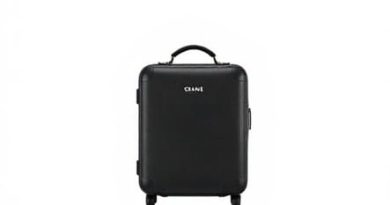 Celine Drummed Calfskin Nano Luggage