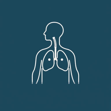 Define Eructation In Medical Terms