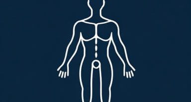 Define The Medical Term Anabolism
