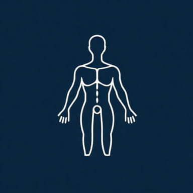 Define The Medical Term Anabolism
