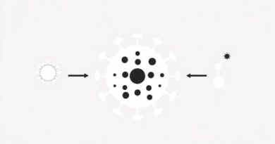 Does A Virus Metabolize