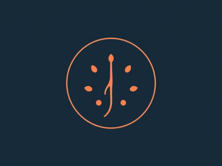 Does Multiple Myeloma Metastasize