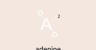 Empirical Formula Of Adenine