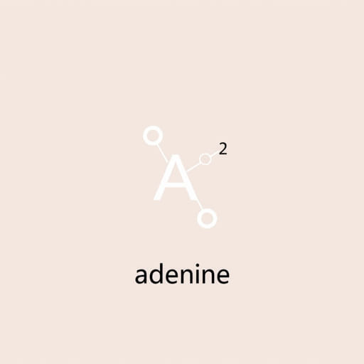 Empirical Formula Of Adenine