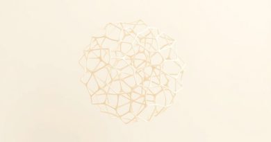 Enlarged Aspect Of Spongy Bone Trabeculae