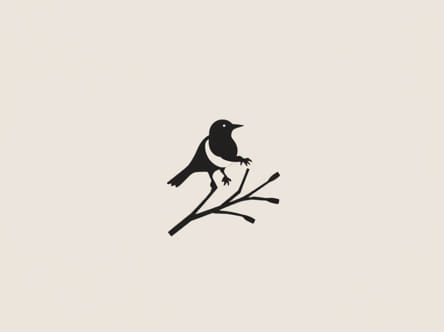 Entailment Used In To Kill A Mockingbird