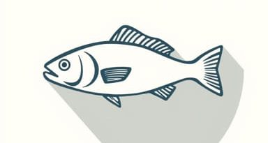 Fisher Titus Convenient Care