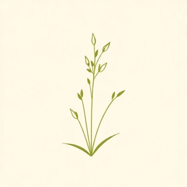 How Much Fenugreek For Lactation