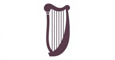 How Much Is A Small Harp