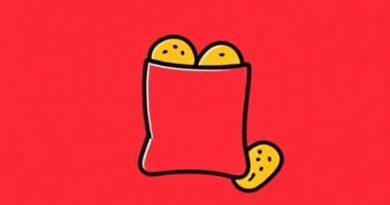 How Much Protein In Quest Chips