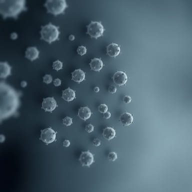 How To Count Mitoses Per Mm2