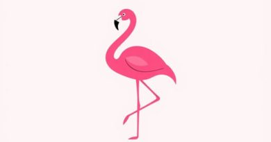 Iphone 14 Pro Flamingo