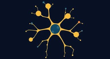 Is Gaba A Neurotransmitter