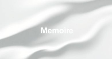 Is Memoir A Genre?