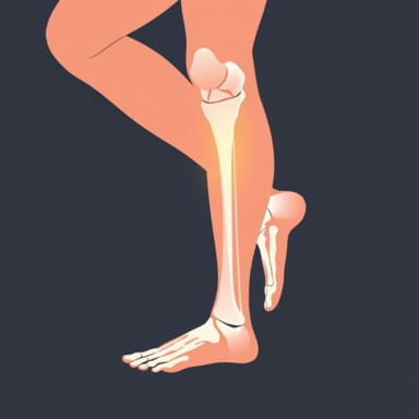 Jospt Medial Tibial Stress Syndrome