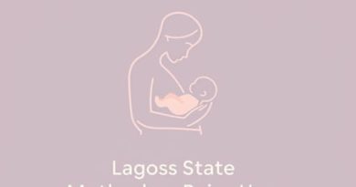 Lagos State Motherless Babies Home
