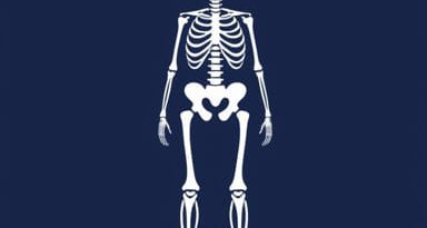 Mnemonic For Cancers That Metastasize To Bone