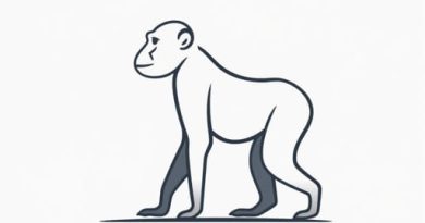 Most Recent Hominid Species