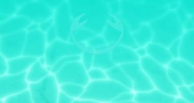 Name Of Crab In Moana