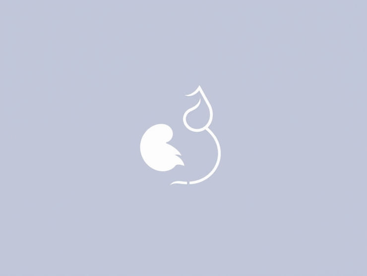 Obstetrix Maternal Fetal Medicine