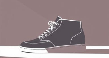 On Most Expensive Shoes