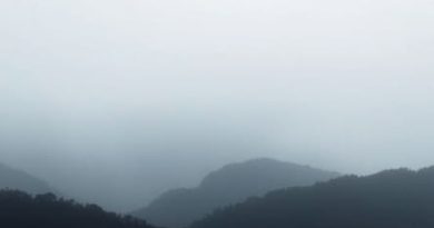 One Or More Is Or Are