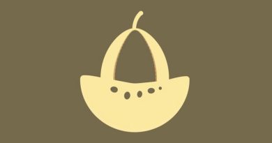 One Small Muskmelon Calories